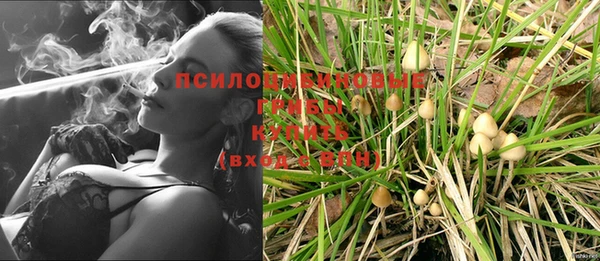крисы Михайловка
