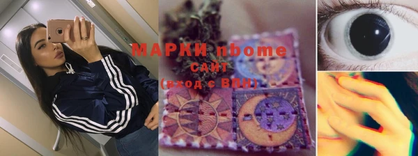 ПСИЛОЦИБИНОВЫЕ ГРИБЫ Михайлов