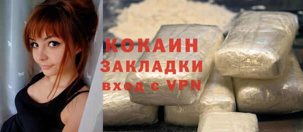 ПСИЛОЦИБИНОВЫЕ ГРИБЫ Михайлов