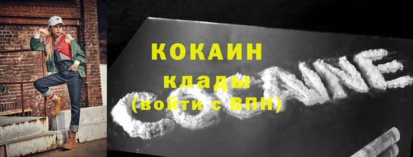 ПСИЛОЦИБИНОВЫЕ ГРИБЫ Михайлов