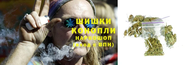 ПСИЛОЦИБИНОВЫЕ ГРИБЫ Михайлов