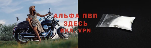 PSILOCYBIN Дубовка