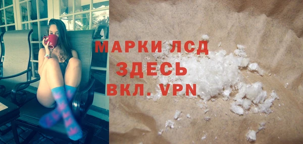 ПСИЛОЦИБИНОВЫЕ ГРИБЫ Михайлов
