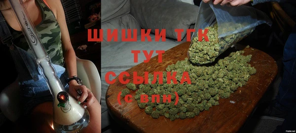 ПСИЛОЦИБИНОВЫЕ ГРИБЫ Михайлов