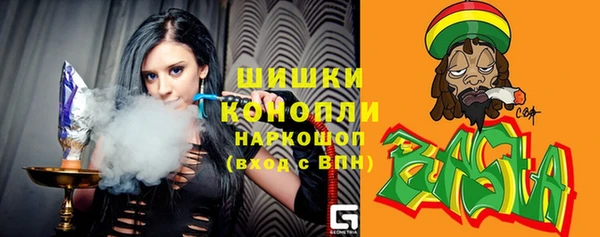 ПСИЛОЦИБИНОВЫЕ ГРИБЫ Михайлов