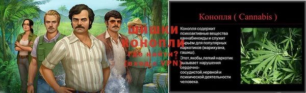 ПСИЛОЦИБИНОВЫЕ ГРИБЫ Михайлов
