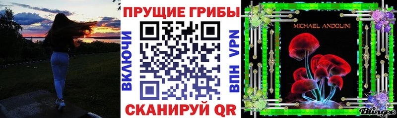 Купить где  Краснокамск  Псилоцибиновые грибы прущие грибы 